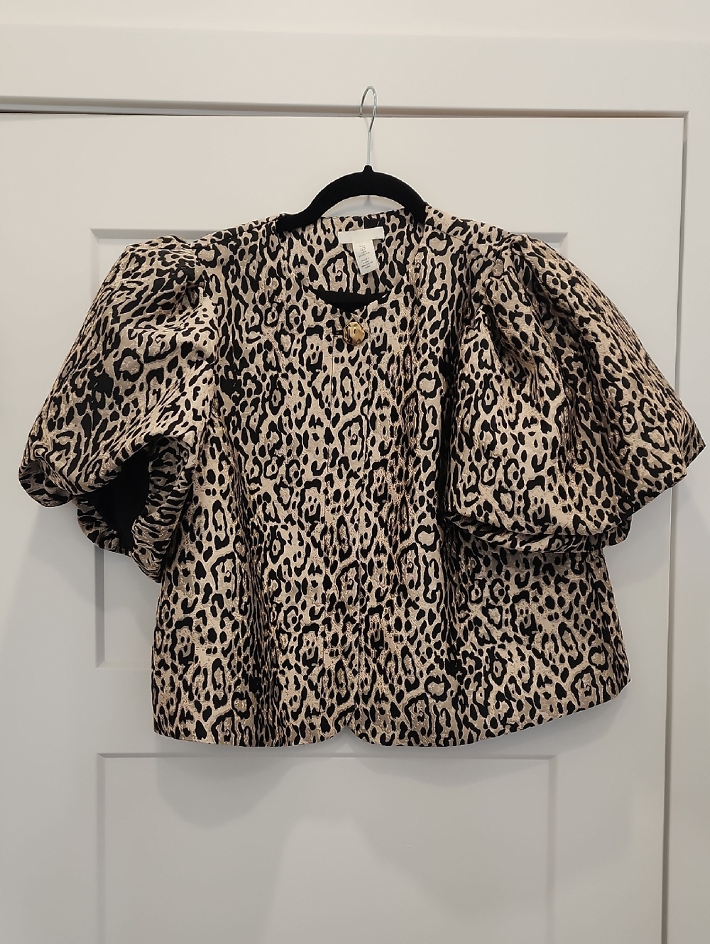 H&M Balloon Sleeved Blouse